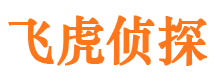 合川出轨调查